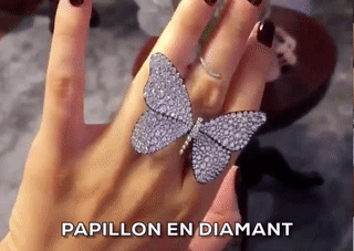 bijou papillon animé